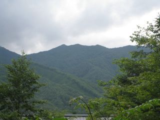 IMG_2558.jpg
